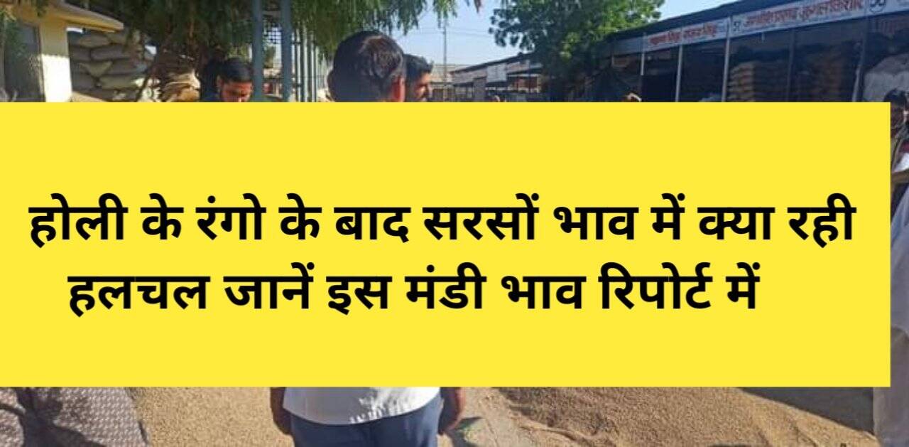 होली की छूटी के बाद सरसों में क्या रंग दिखाया देखें आज के ताजा मंडी भाव