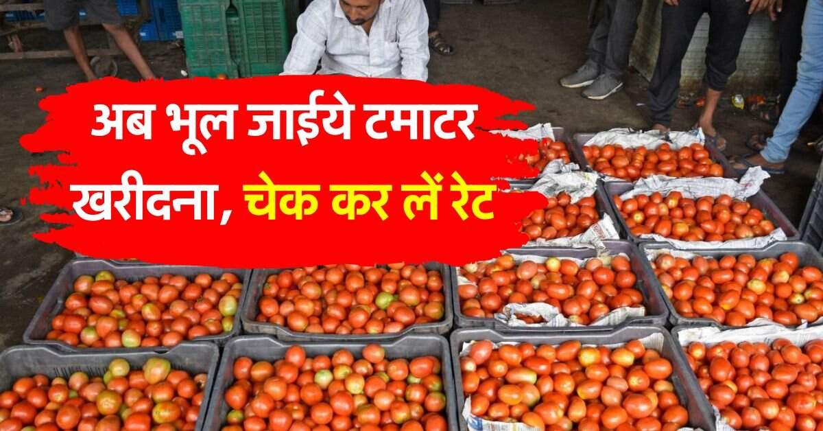tomato price today : टमाटर के भाव ने तोड़ा रिकॉर्ड, 2 दिन में डेढ़ गुना बढ़ गए रेट, जानिये आज के भाव
