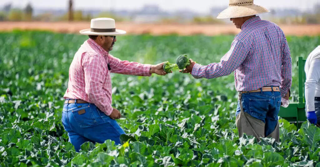 Organic Farming Scheme 2024 : के लिए प्राप्त धन में से हरियाणा, गुजरात ने कुछ भी खर्च नहीं किया, सरकार
