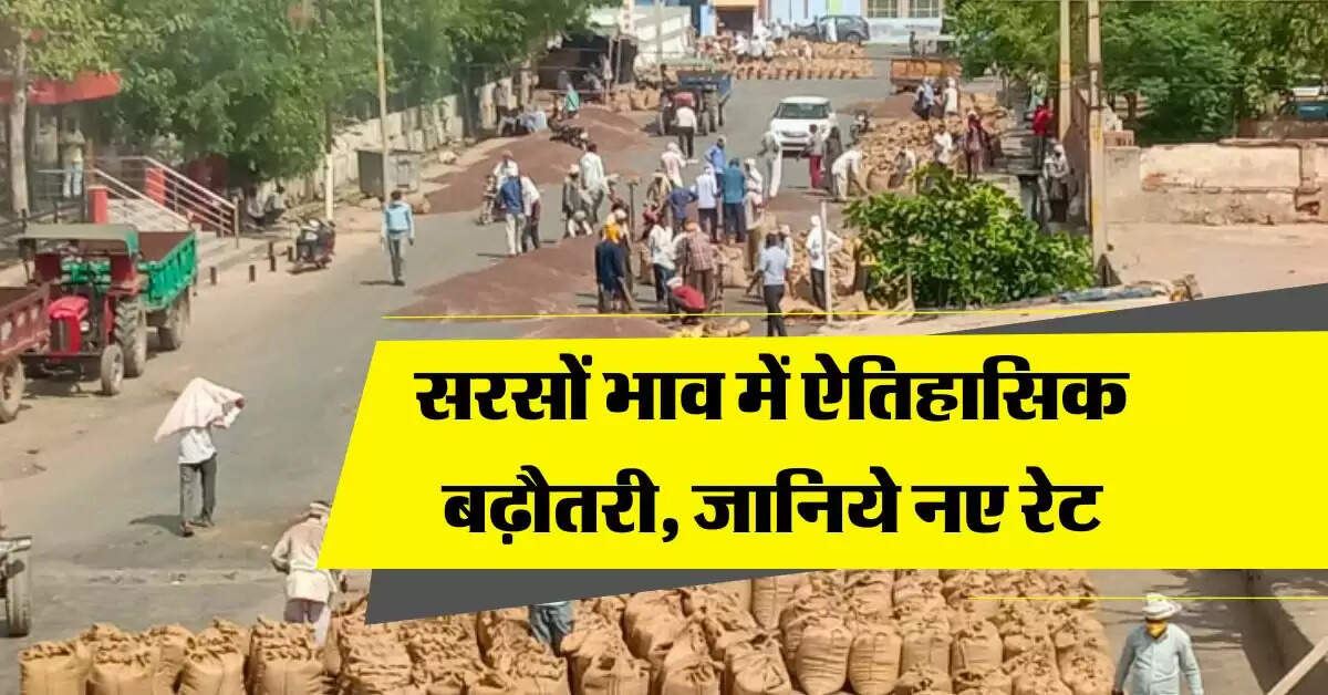 sarso ka bhav : सरसों भाव में ऐतिहासिक बढ़ौतरी, जानिये नए रेट