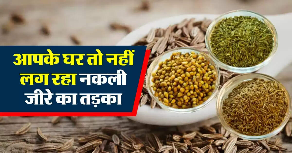 Cumin : आपके घर तो नहीं लग रहा नकली जीरे का तड़का, ऐसे करें असली जीरे की पहचान