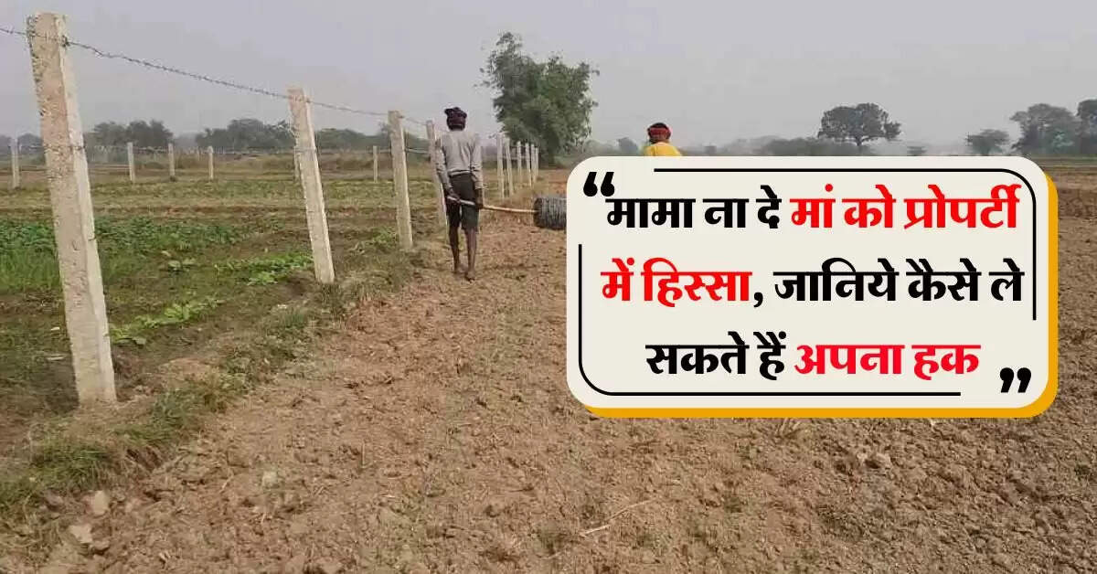 property rights : मामा ना दे मां को प्रोपर्टी में हिस्से, जानिये कैसे ले सकते हैं प्राेपर्टी में अपना हक
