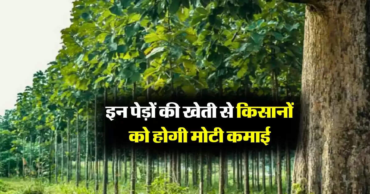 Tree Farming : इन पेड़ों की खेती से किसानों को होगी मोटी कमाई