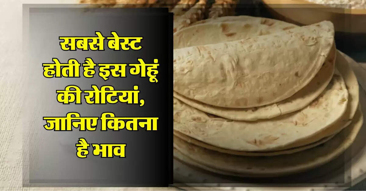 Wheat Variety : सबसे बेस्ट होती है इस गेहूं की रोटियां, जानिए कितना है भाव