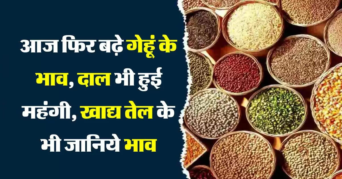 Wheat Price : आज फिर बढ़े गेहूं के भाव, दाल भी हुई महंगी, खाद्य तेल और घी का भाव