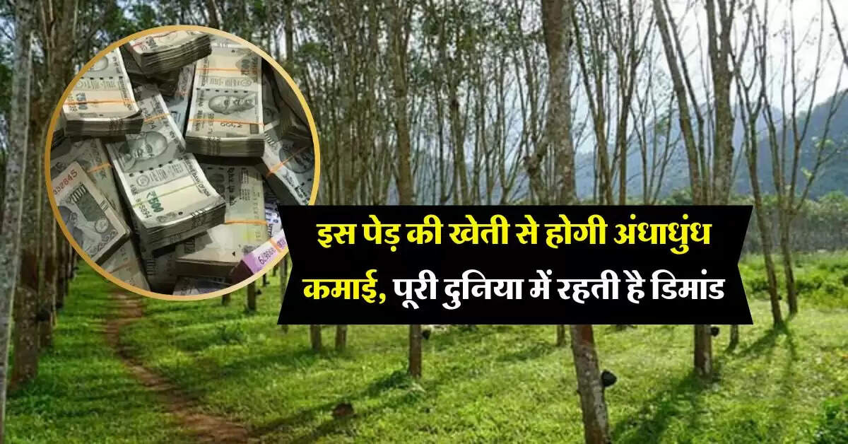 Business Idea : इस पेड़ की खेती से होगी अंधाधुंध कमाई, पूरी दुनिया में रहती है डिमांड