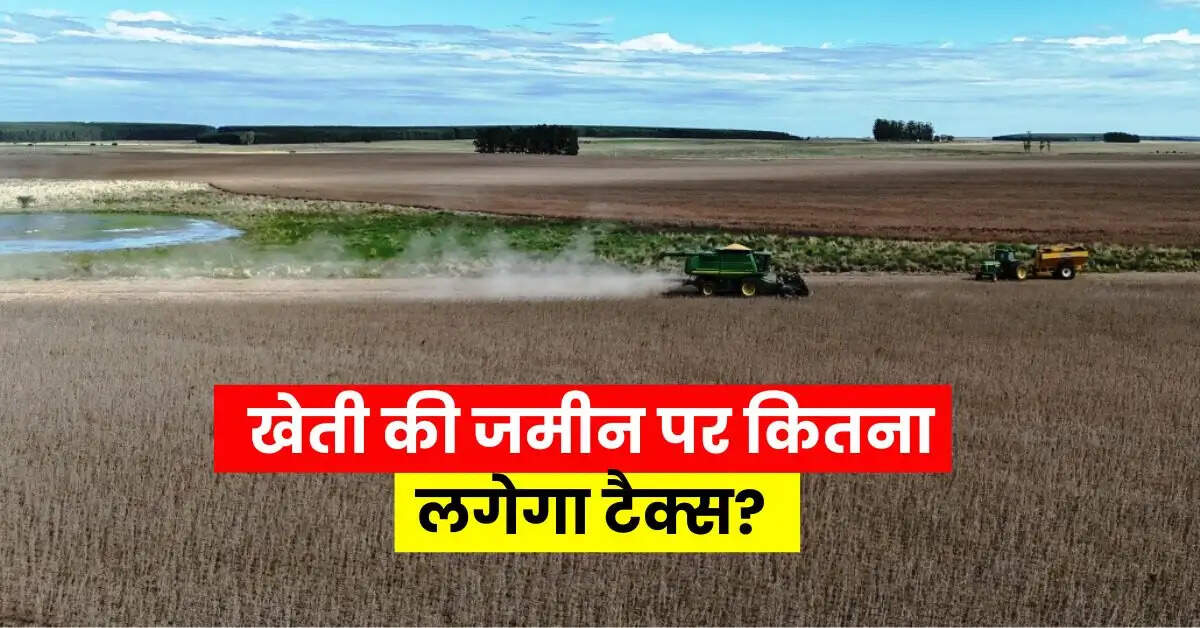 Income Tax : खेती की जमीन पर कितना लगेगा टैक्स, जानिए इनकम टैक्स के नियम