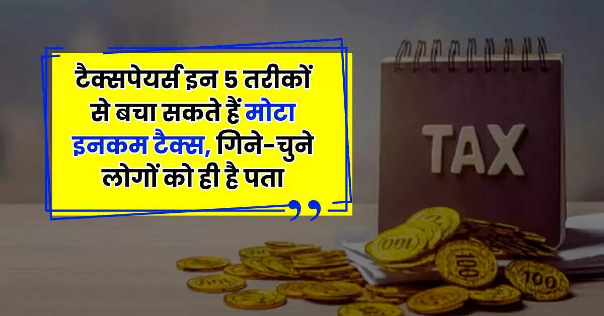 Income Tax : टैक्सपेयर्स इन 5 तरीकों से बचा सकते हैं मोटा इनकम टैक्स, गिने-चुने लोगों को ही है पता