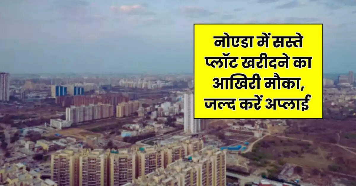 YEIDA Plot Scheme: नोएडा में सस्ते प्लॉट खरीदने का आखिरी मौका, जल्द करें अप्लाई