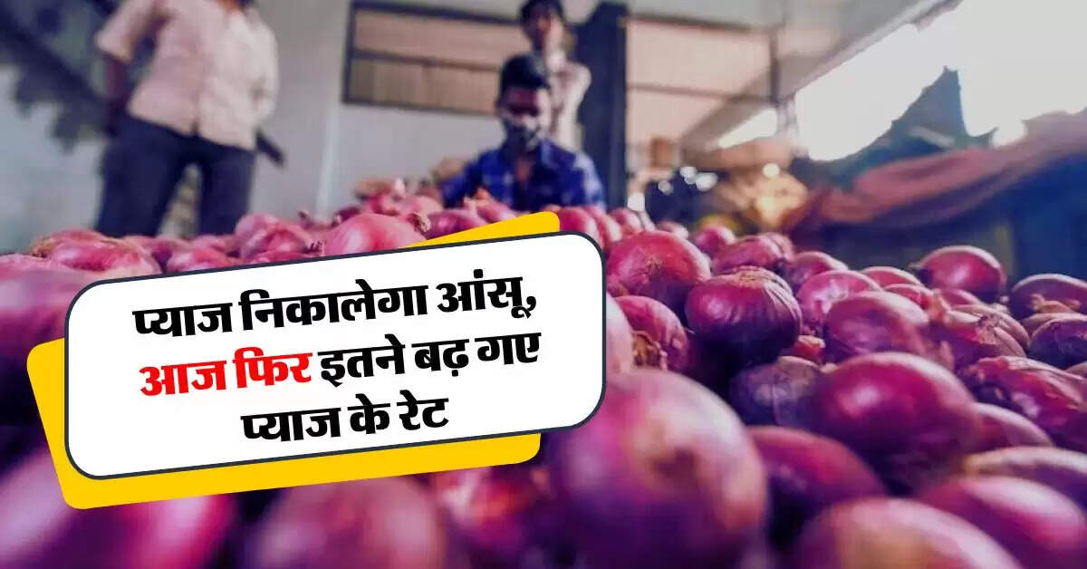 Onion price today : प्याज निकालेगा आंसू, आज फिर इतने बढ़ गए प्याज के रेट