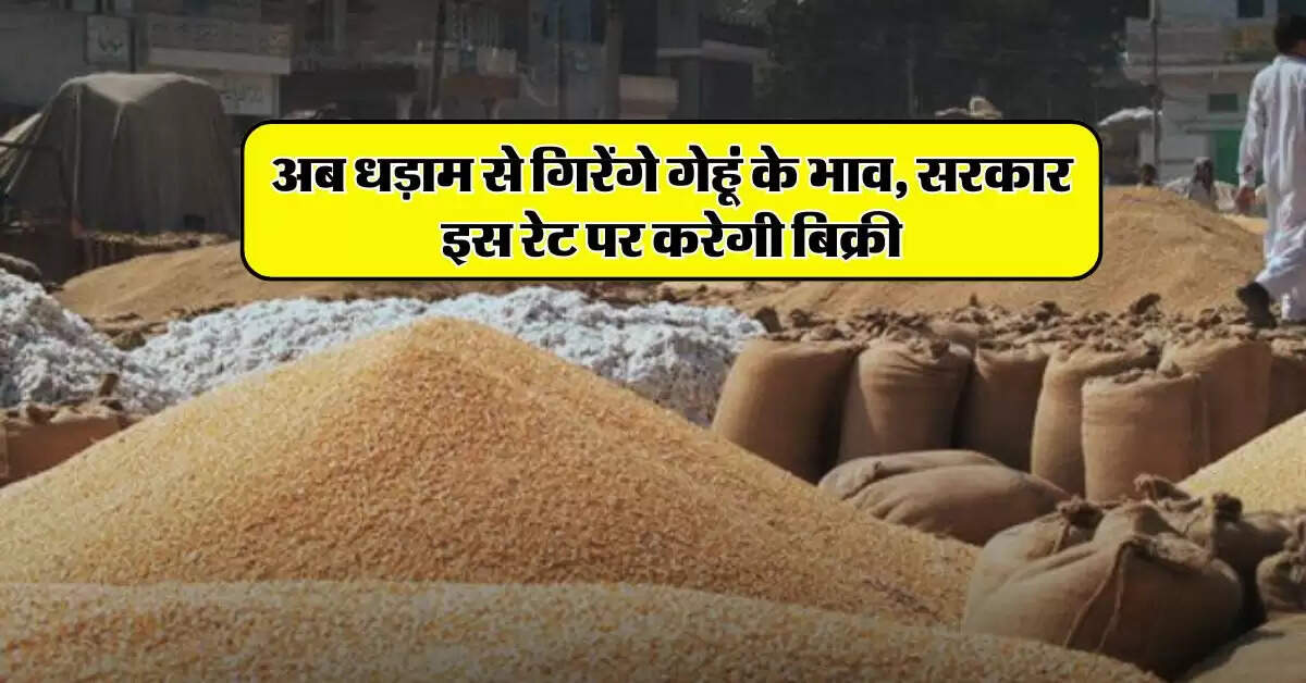 Wheat price : अब धड़ाम से गिरेंगे गेहूं के भाव, सरकार इस रेट पर करेगी बिक्री