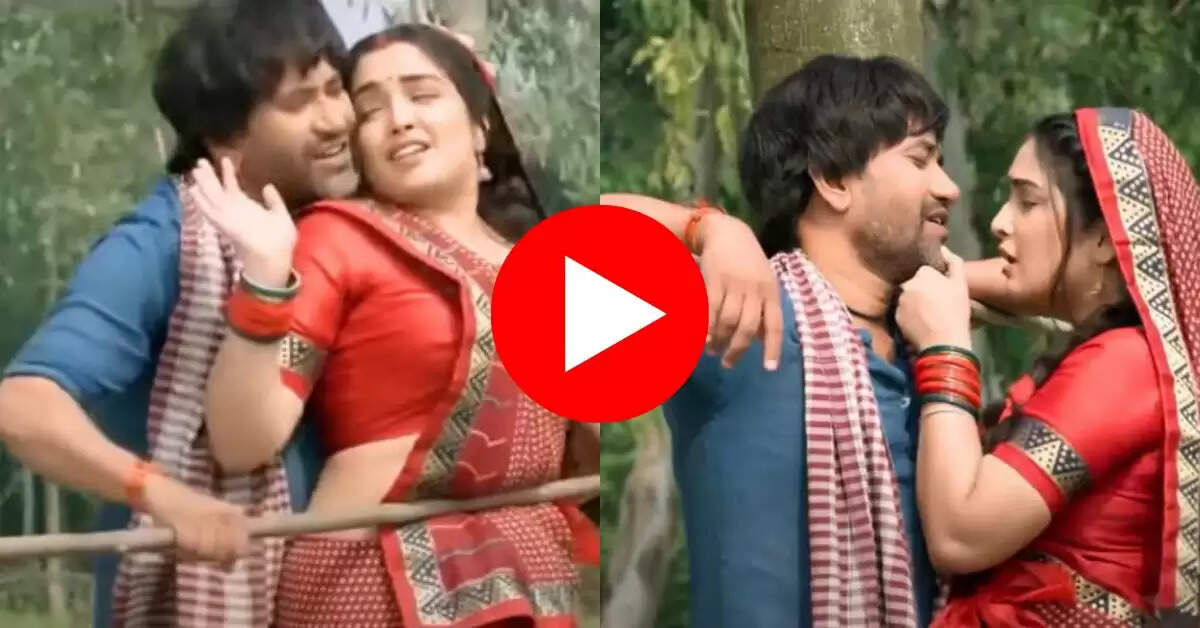 Amrapali Nirahua song : मरुन कलर सड़िया पर आम्रपाली के डांस मूव्ज कर रहे बेहाल, लचकती कमर देख फैंस पानी-पानी