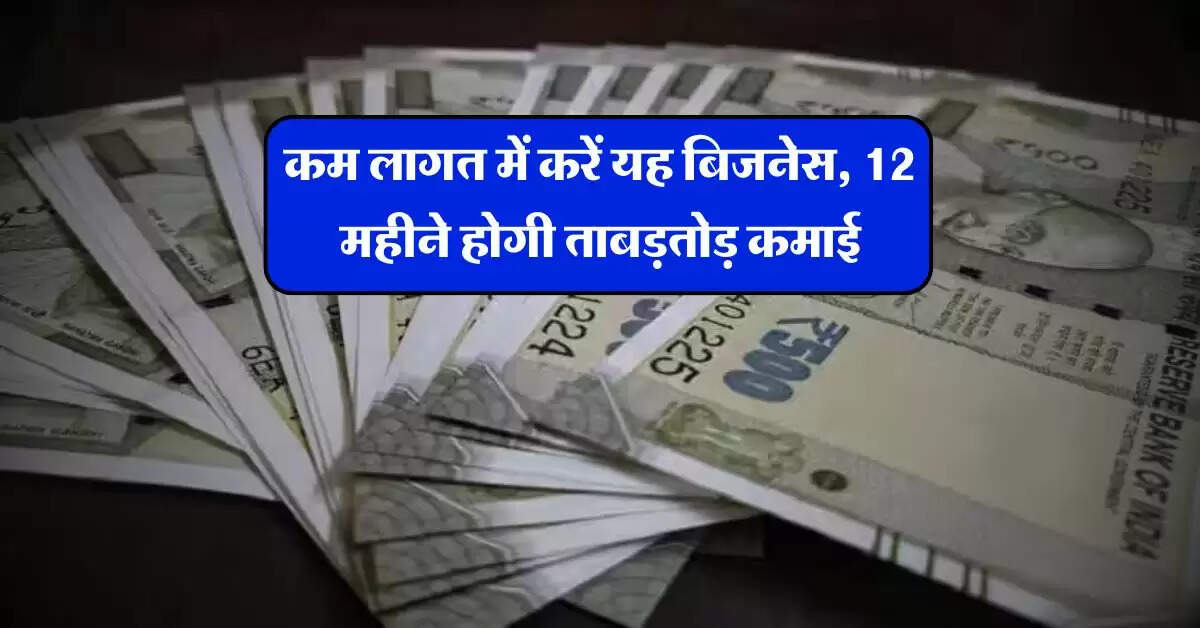 Business Idea : कम लागत में करें यह बिजनेस, 12 महीने होगी ताबड़तोड़ कमाई