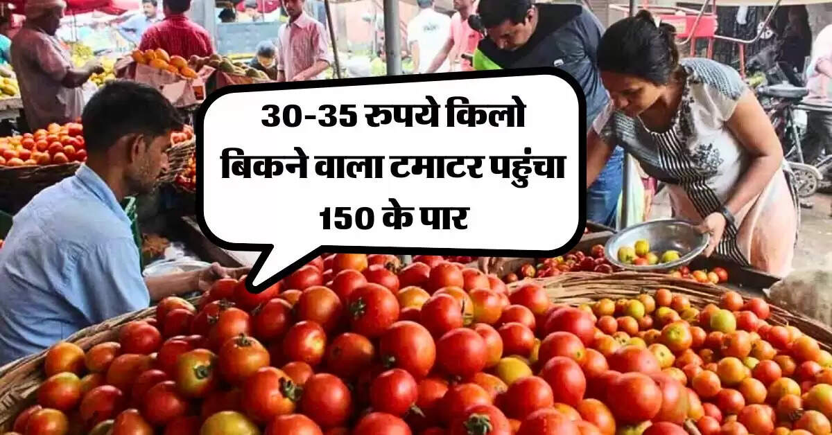 Tomato Price Hike : 30-35 रुपये किलो बिकने वाला टमाटर पहुंचा 150 के पार, जानिये कब होगा सस्ता