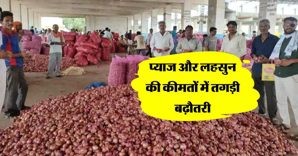 onion garlic price : प्याज और लहसुन की कीमतों में तगड़ी बढ़ौतरी, इतने रुपये किलो पहुंचे भाव
