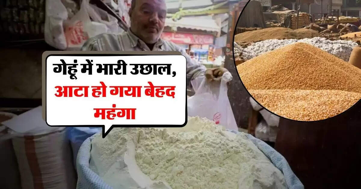 wheat price today : गेहूं में भारी उछाल, आटा हो गया बेहद महंगा, जानिये नए रेट