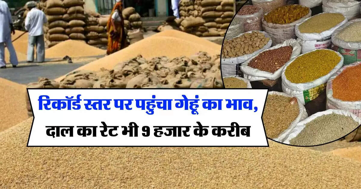 wheat price : रिकॉर्ड स्तर पर पहुंचा गेहूं का भाव, दाल का रेट भी 9 हजार के करीब