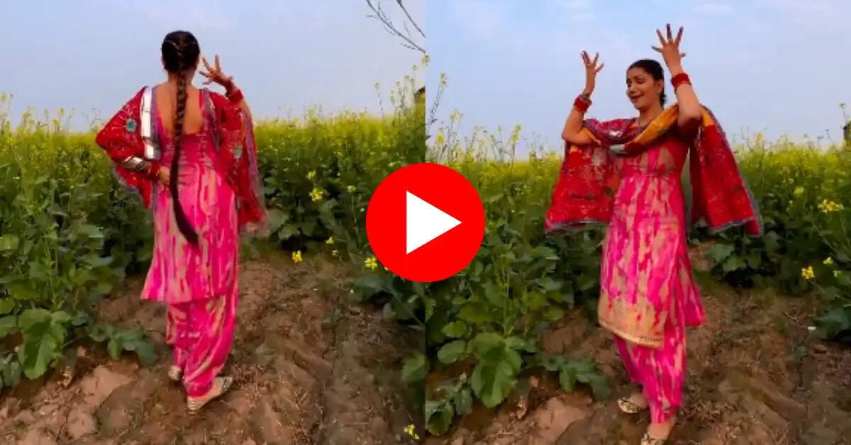 Sapna Viral Dance Video : सपना चौधरी ने सरसों के खेत में किया गजब डांस, इंटरनेट पर कर रहा ट्रेंड