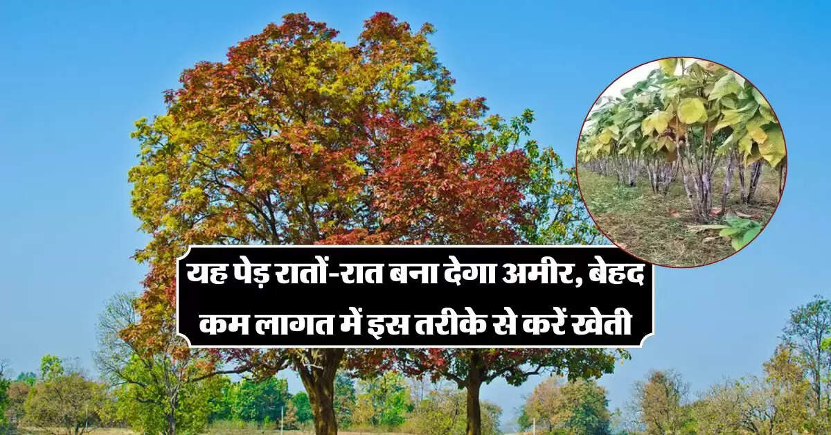 Tree Farming: यह पेड़ रातों-रात बना देगा अमीर, बेहद कम लागत में इस तरीके से करें खेती