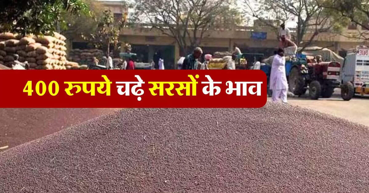 sarso ka bhav 23 august : 400 रुपये चढ़े सरसों के भाव, जानिये कहां है सरसों के सबसे ज्यादा भाव