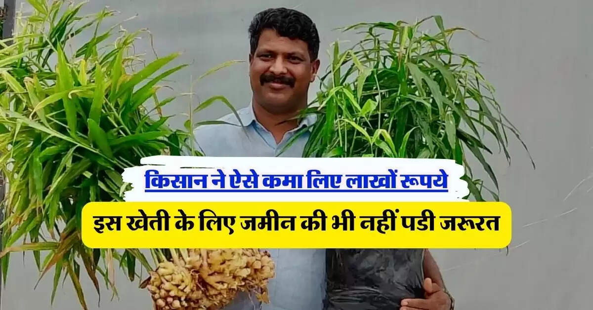 Success Story: इस खेती के लिए जमीन की भी नहीं पडी जरूरत, किसान ने ऐसे कमा लिए लाखों रूपये