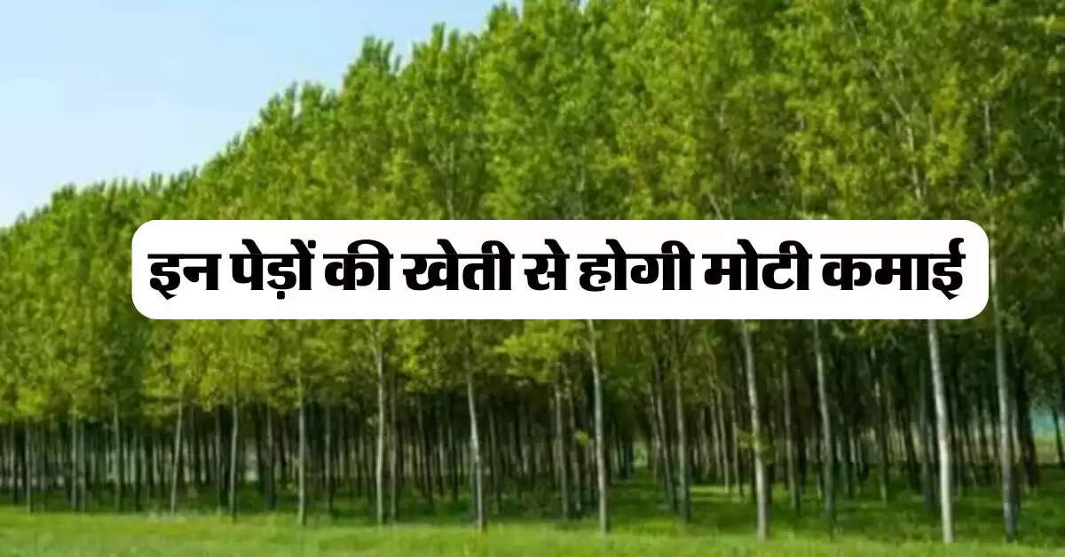 Tree farming : इन पेड़ों की खेती से होगी मोटी कमाई, मार्केट में है खूब डिमांड