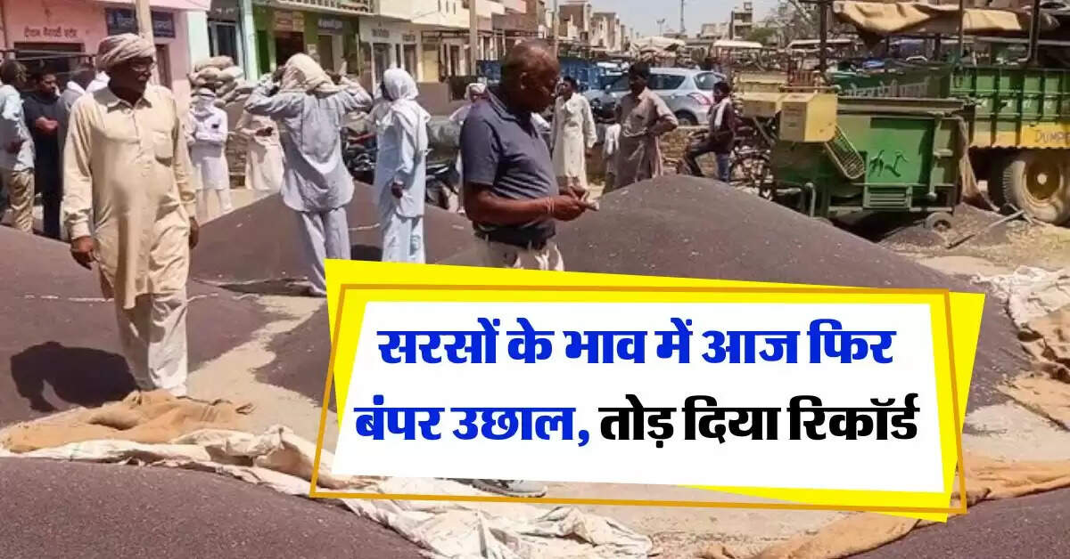 Sarso ka Bhav : सरसों के भाव में आज फिर बंपर उछाल, तोड़ दिया रिकॉर्ड