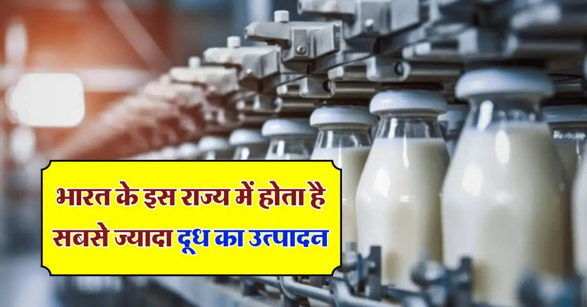 Milk Production : भारत के इस राज्य में होता है सबसे ज्यादा दूध का उत्पादन, देश की 16% जरूरत करता है पूरी