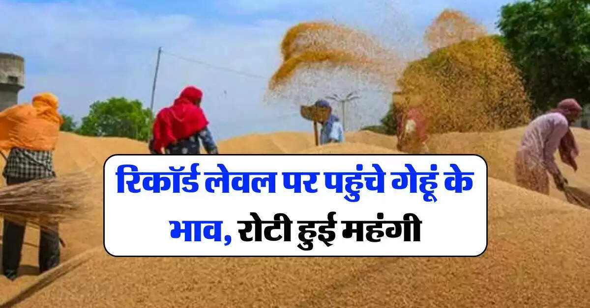 wheat price : रिकॉर्ड लेवल पर पहुंचे गेहूं के भाव, रोटी हुई महंगी