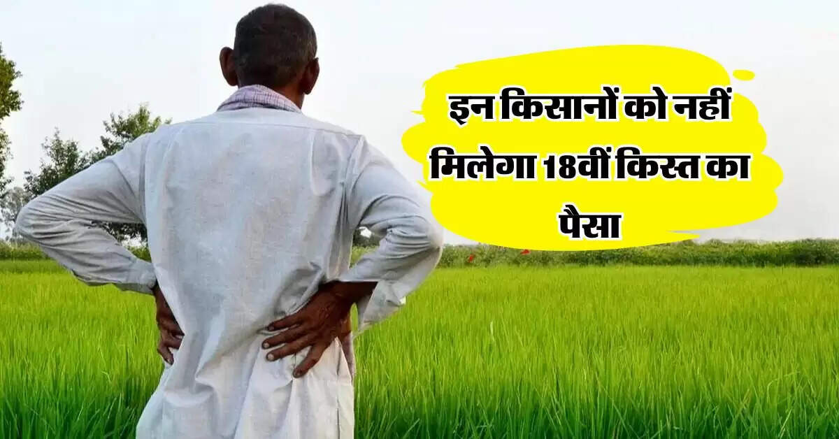 PM Kisan Yojana : इन किसानों को नहीं मिलेगा 18वीं किस्त का पैसा, फटाफट जान लें कारण