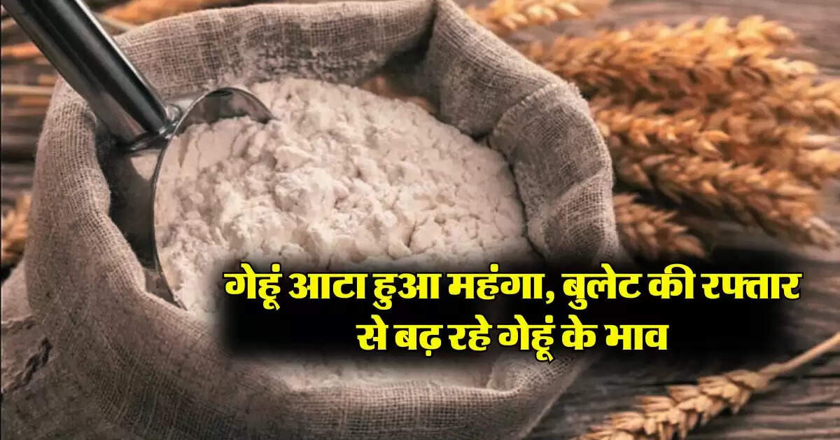 Wheat Flour Price : गेहूं आटा हुआ महंगा, बुलेट की रफ्तार से बढ़ रहे गेहूं के भाव