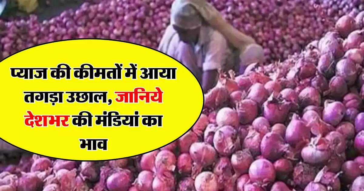 Onion price : प्याज की कीमतों में आया तगड़ा उछाल, जानिये देशभर की मंडियां का भाव