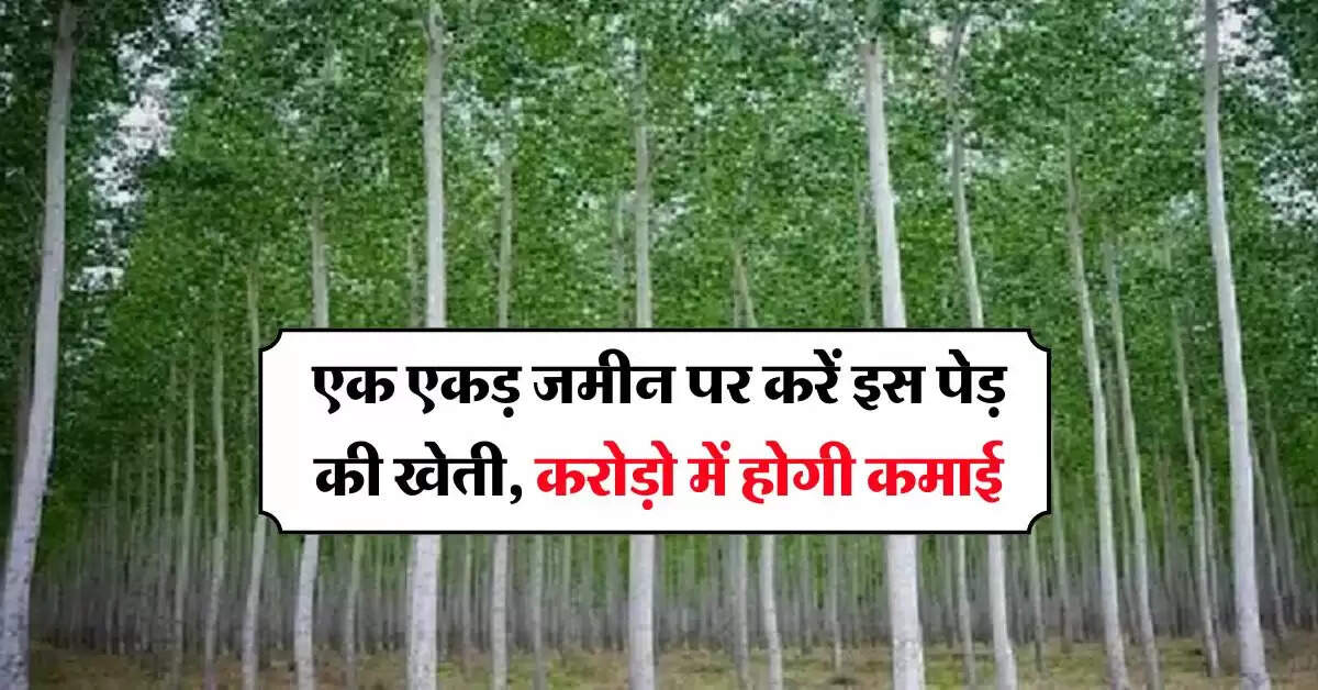 Tree farming : एक एकड़ जमीन पर करें इस पेड़ की खेती, करोड़ो में होगी कमाई