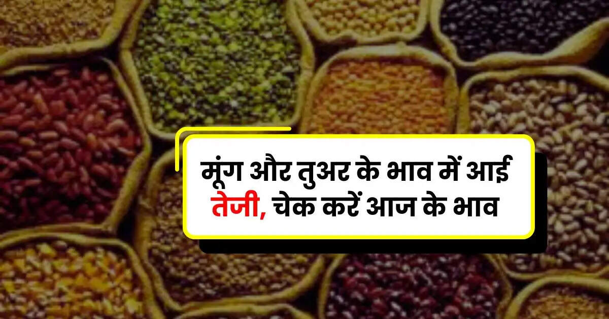 Mandi Bhav - मूंग और तुअर के भाव में आई तेजी, चेक करें आज के भाव