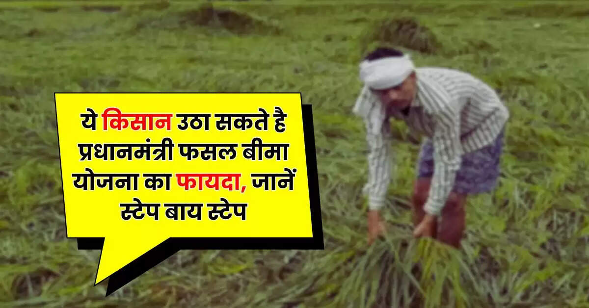 PMFBY - ये किसान उठा सकते है प्रधानमंत्री फसल बीमा योजना का फायदा, जानें स्टेप बाय स्टेप