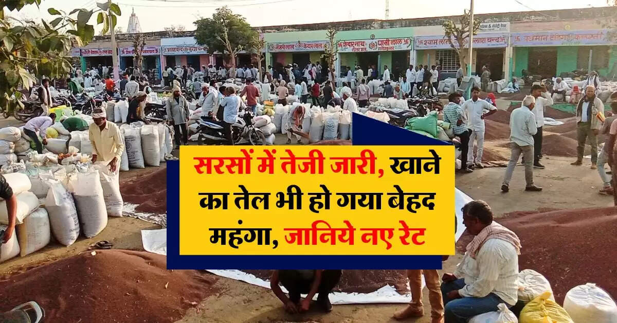 sarso ka bhav : सरसों में तेजी जारी, खाने का तेल भी हो गया बेहद महंगा, जानिये नए रेट
