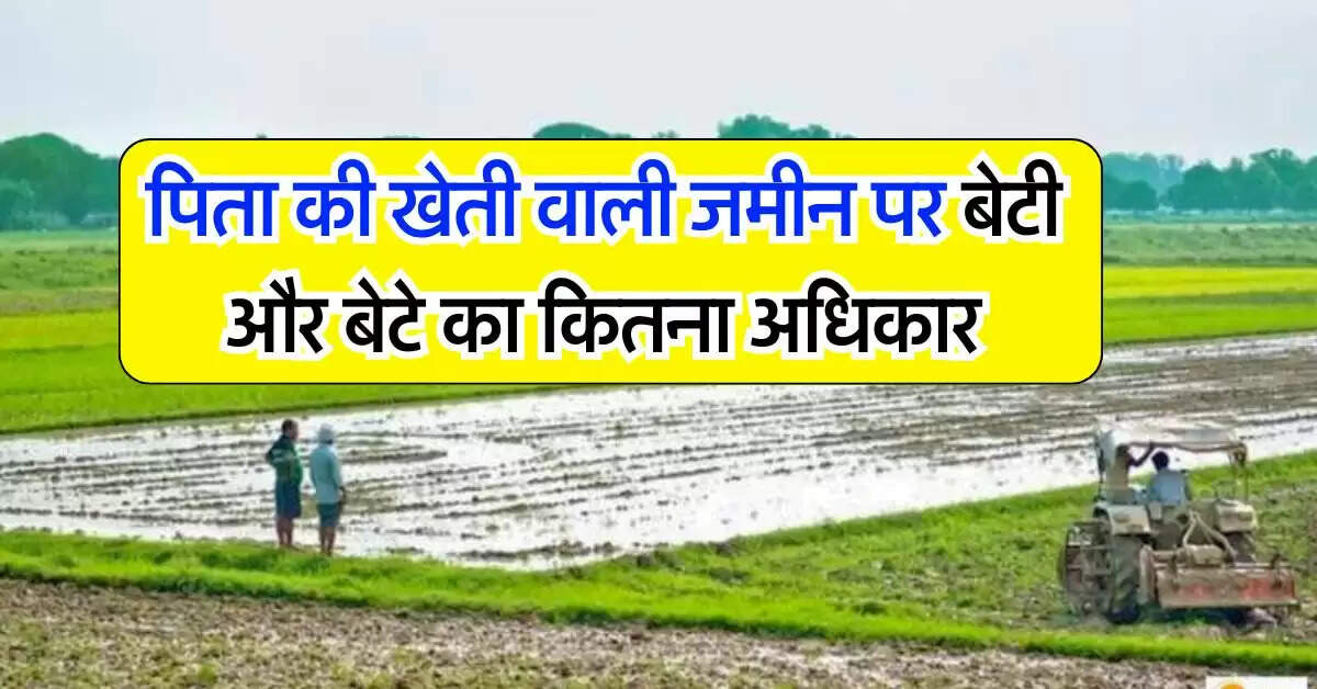 Property Rights : पिता की खेती वाली जमीन पर बेटी और बेटे का कितना अधिकार, जानिये क्या कहता है कानून 