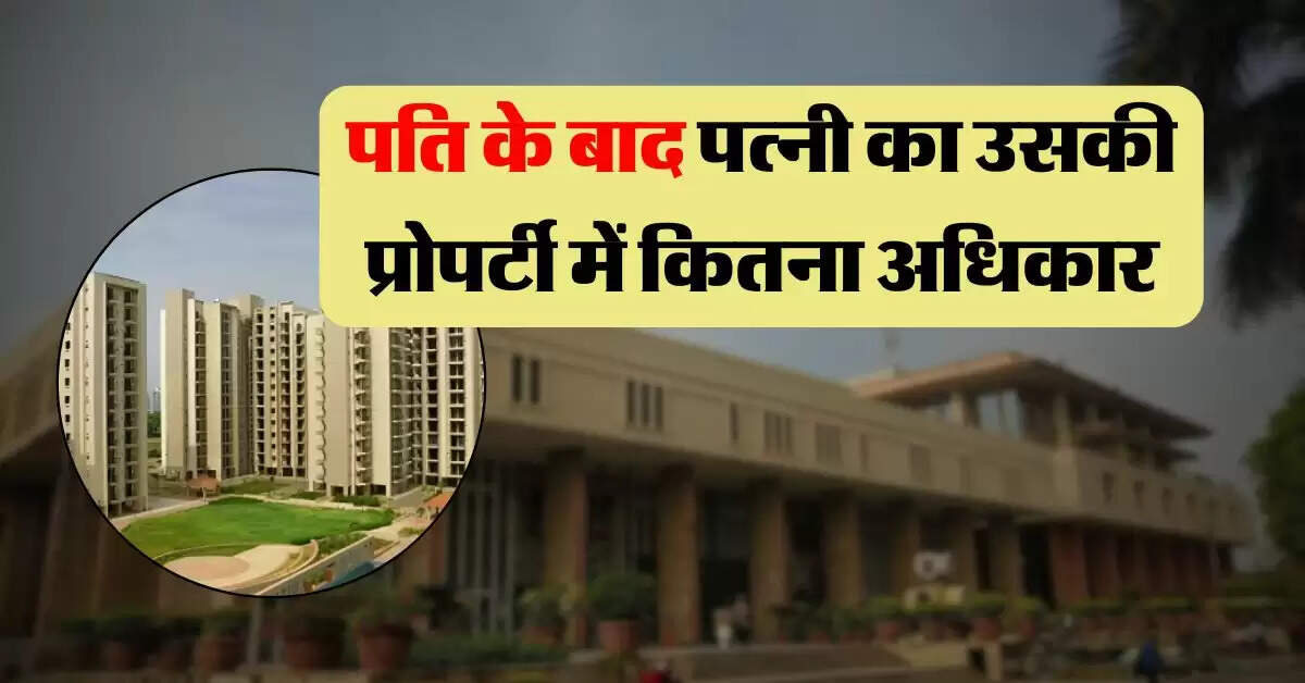 High Court Decisions : पति के बाद पत्नी का उसकी प्रोपर्टी में कितना अधिकार, दिल्ली हाईकोर्ट ने फैसले में किया साफ