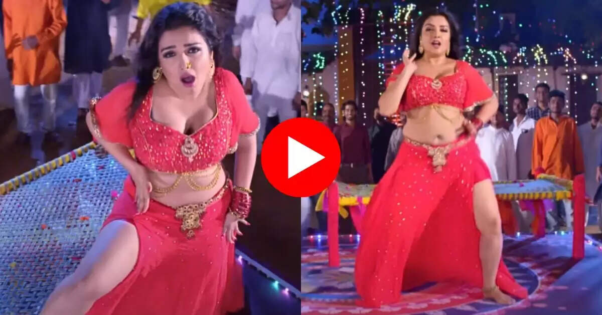 Bhojpuri Song  : रंगीन लाइटों के बीच आम्रपाली ने दिखाया हुस्न का जलवा, फैंस खो बैठे होश 