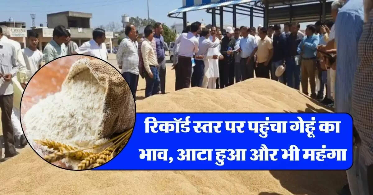 Wheat Flour Price : रिकॉर्ड स्तर पर पहुंचा गेहूं का भाव, आटा हुआ और भी महंगा