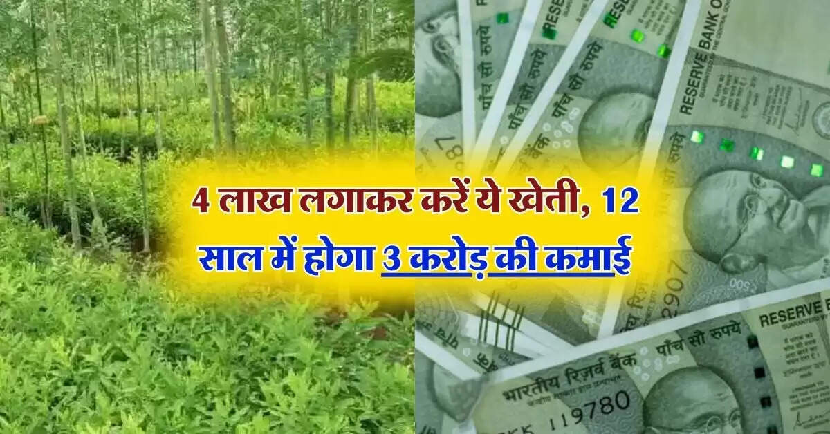 Business idea : 4 लाख लगाकर करें ये खेती, 12 साल में होगा 3 करोड़ की कमाई