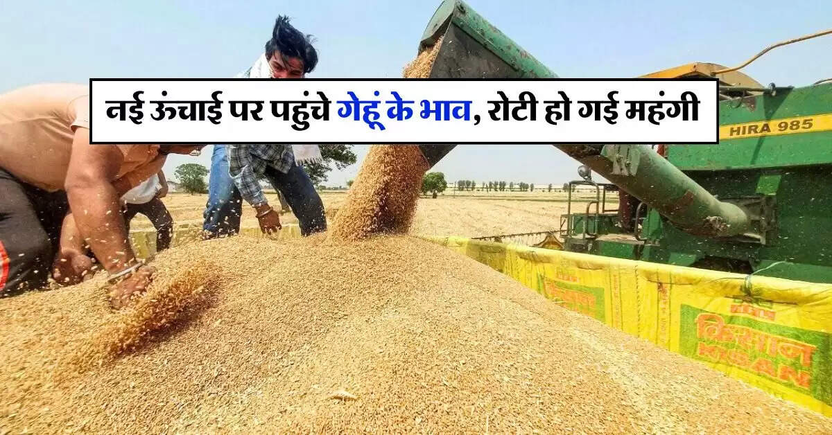wheat price : नई ऊंचाई पर पहुंचे गेहूं के भाव, रोटी हो गई महंगी