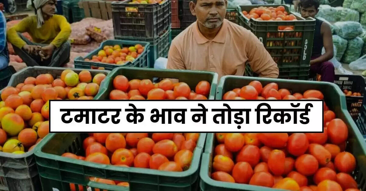 Tomato Price Today : टमाटर के भाव ने तोड़ा रिकॉर्ड, सातवें आसमान में पहुंचे रेट