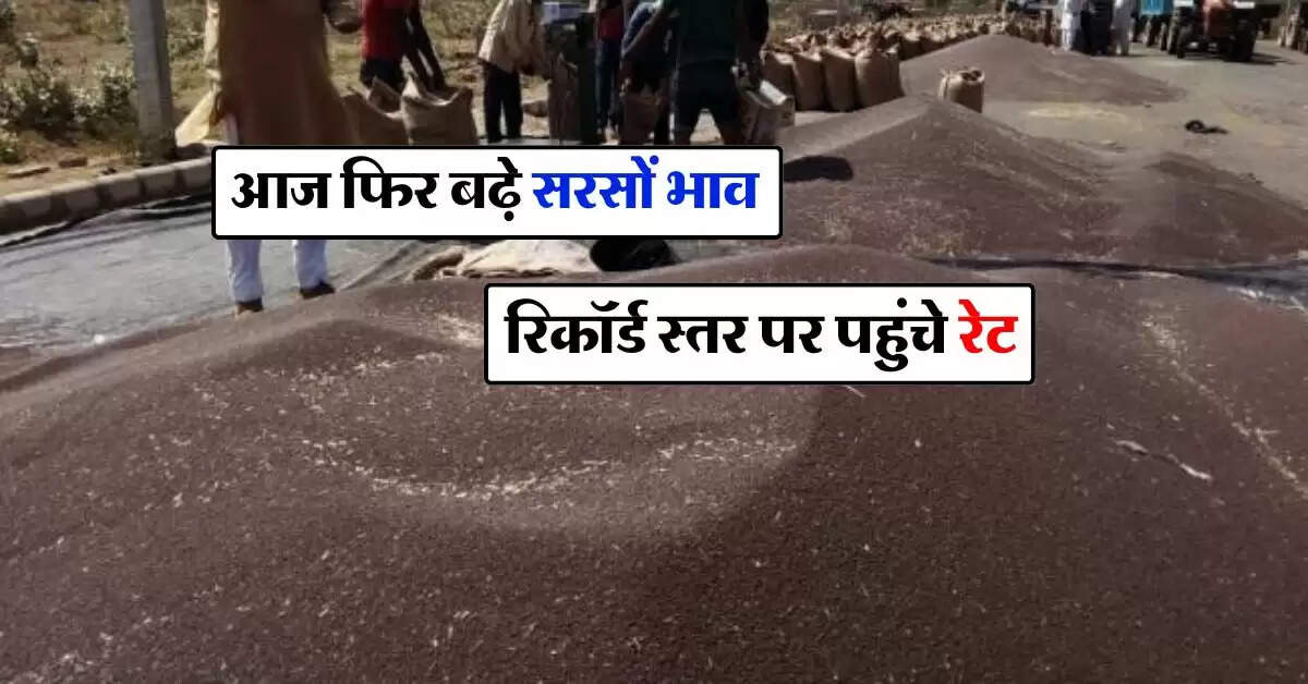sarso ka bhav 4 october : आज फिर बढ़े सरसों भाव, रिकॉर्ड स्तर पर पहुंचे रेट