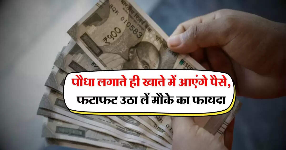 Sarkari Scheme : पौधा लगाते ही खाते में आएंगे पैसे, फटाफट उठा लें मौके का फायदा