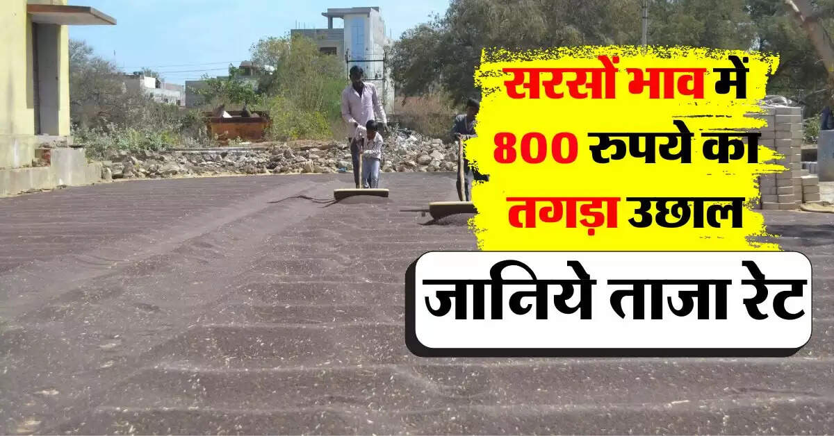 sarso ka bhav 14 october : सरसों में 800 रुपये का इजाफा