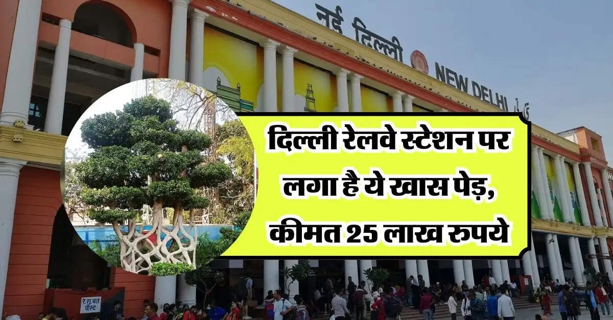New Delhi Railway Station: दिल्ली रेलवे स्टेशन पर लगा है ये खास पेड़, कीमत 25 लाख रुपये